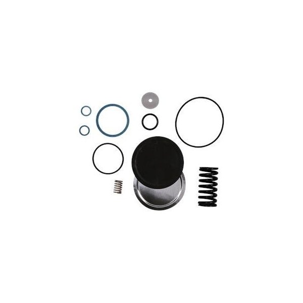 Pump Repair Parts- Kit, maint.Cl2/544/FKM/PVDF, Dosing Pumps.